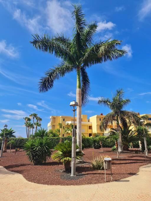 Homely Apt In Modern Building With Pool San Miguel de Abona Luaran gambar